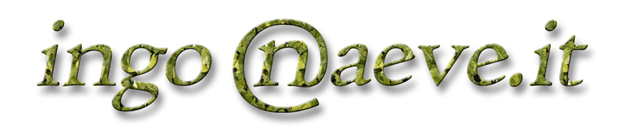 ingo naeve.it